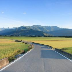 Chishang 7 pet-friendly hotels