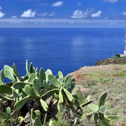 Ponta do Pargo 4 chalets