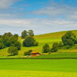 Bärnau 3 family hotels