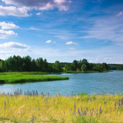 Przeźmierowo 8 hotels