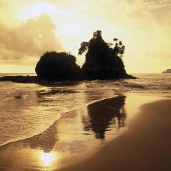 Parrita 12 apartmánů