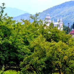 Valea Drăganului 6 B&Bs