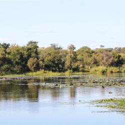 Hectorspruit 39 hotels