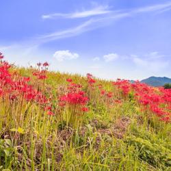 半田市 ホテル7軒