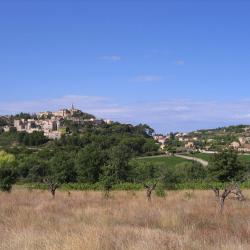 Crillon-le-Brave 13 holiday homes
