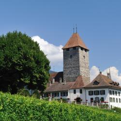 Faulensee 11 levných hotelů