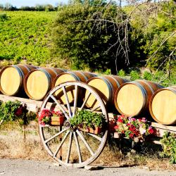 Saint-Christol-l&egrave;s-Al&egrave;s 17 Hoteles con alberca