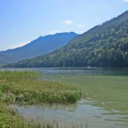 Lunz am See 4 feriegårder