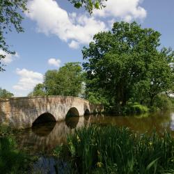 Winchfield 2 hotels