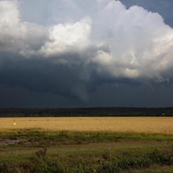 Forrest City 3 motels