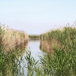 Weiden am See 3 homestays