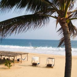 Coyuca 20 hotels