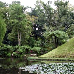 Furnas 4 country houses