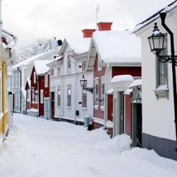 Gävle 18 pet-friendly hotels