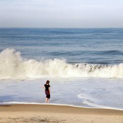 Cherai Beach 7 homestays