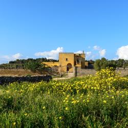San Pietro in Bevagna 269 hotels with parking