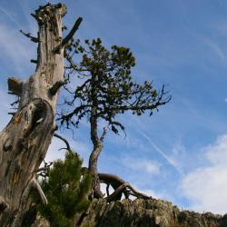 &Agrave;ger 7 villas