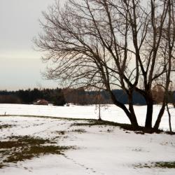 Neusch&ouml;nau 7 resort ski