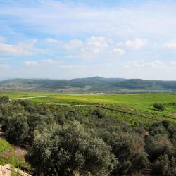 Neve Ilan 4 apartmány