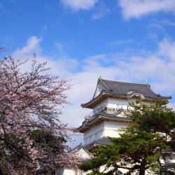 Komaki 8 hotels