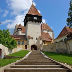 Bazna 7 guest houses