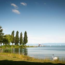 Immenstaad am Bodensee 96 hytter