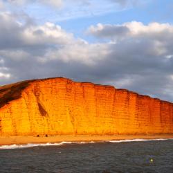 Bridport 81 Hotels