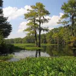 Houma 20 hotels with parking