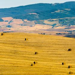 San Casciano dei Bagni 4 farm stays