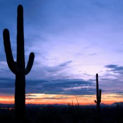 Oro Valley 66 hotelů