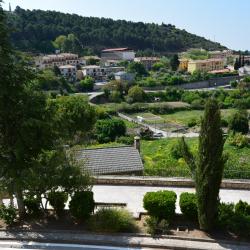 Pastrana 4 pet-friendly hotels