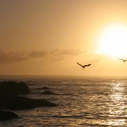 Struisbaai 100 hotell