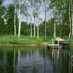 Varkaus 12 holiday rentals