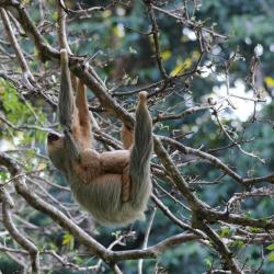 Birr&iacute; 3 hoteles con estacionamiento