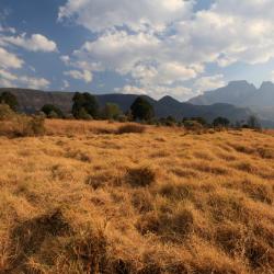 Harrismith 48 hotels