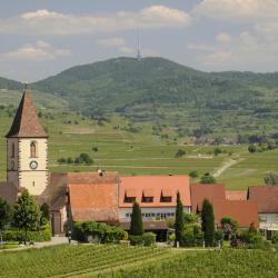 Vogtsburg 25 cheap hotels