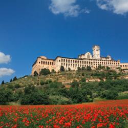 Petrignano 18 hotels