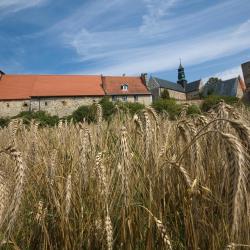 Sulejów 5 obiektów na wynajem sezonowy
