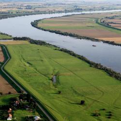 Tarnobrzeg 16 pet-friendly hotels