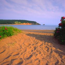 Wolfville 4 holiday rentals