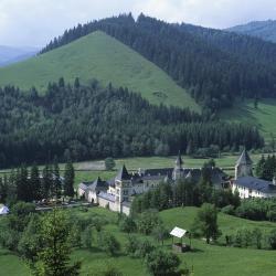 Putna 5 bed and breakfasts