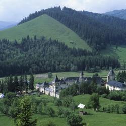 Putna 6 B&Bs