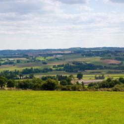 Le Rheu 10 hotels