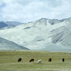 Kashgar 31 hotels