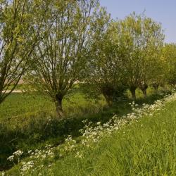 Geel 8 of the villas