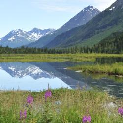 Soldotna 37 hotels