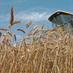 ブクフェルド 9軒の駐車場付きホテル