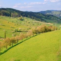 Meißenheim 6 hotelů