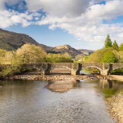 Clachan 6 hotels