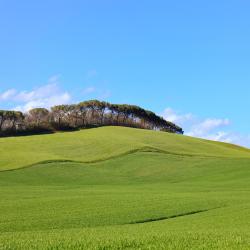 Colle Val D'Elsa 6 farm stays